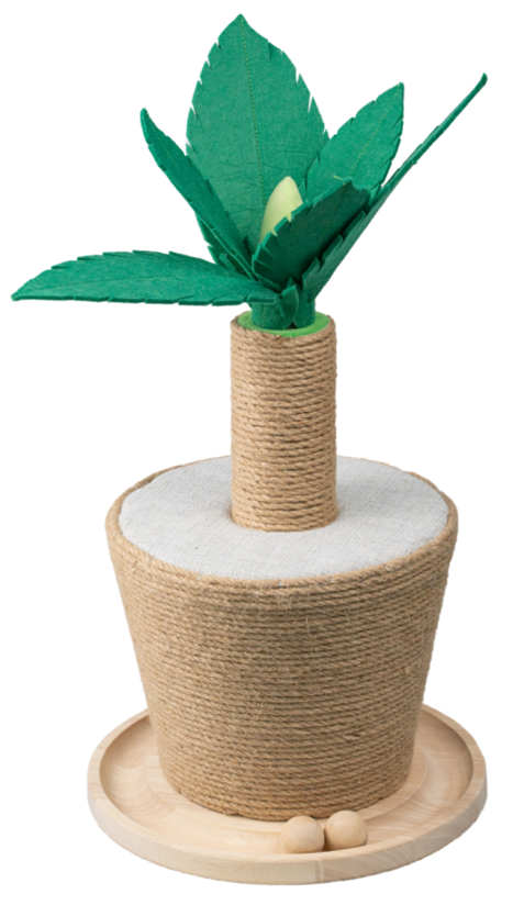 ポット植物は猫のスクラッカーを形作ります
